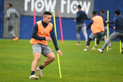 Pensando en el Bicho