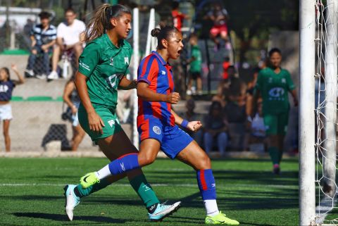 Victoria ante Ferro