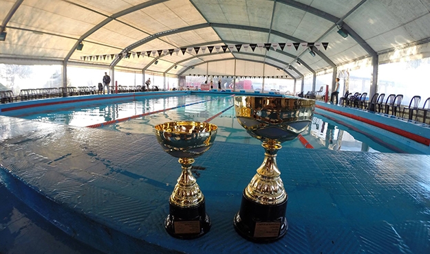 Campeones Metropolitanos