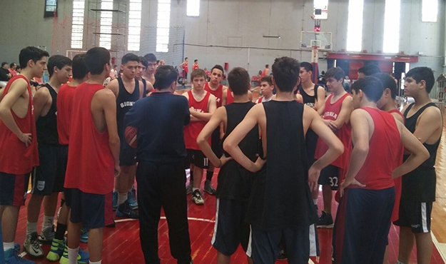 Proyecto integral en las divisiones menores