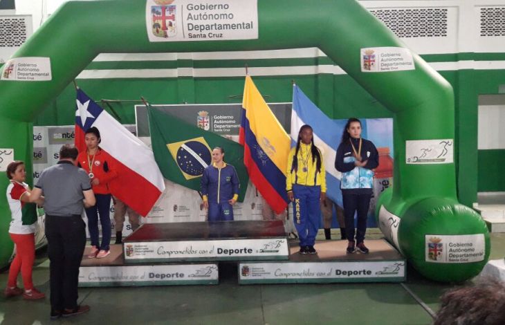 Díaz de Bronce