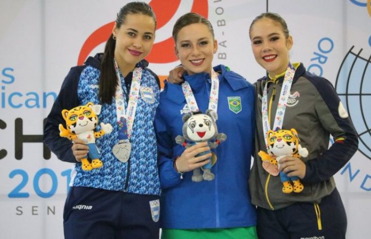 Cuerva de plata
