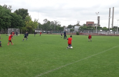 Cuervitos seleccionados