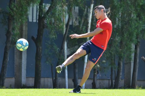 ¡Bienvenido, Yacaré!