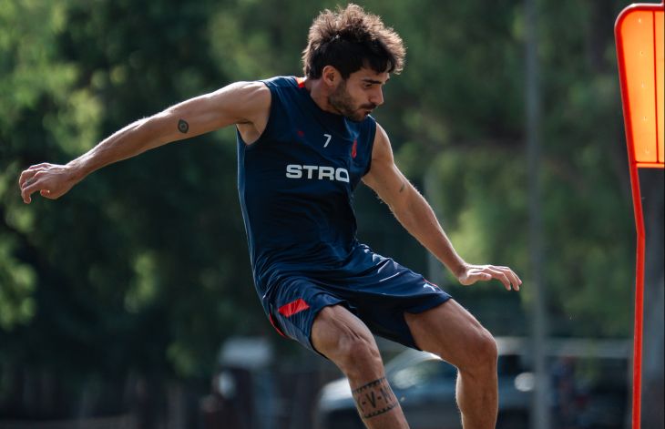 Pocho para rato