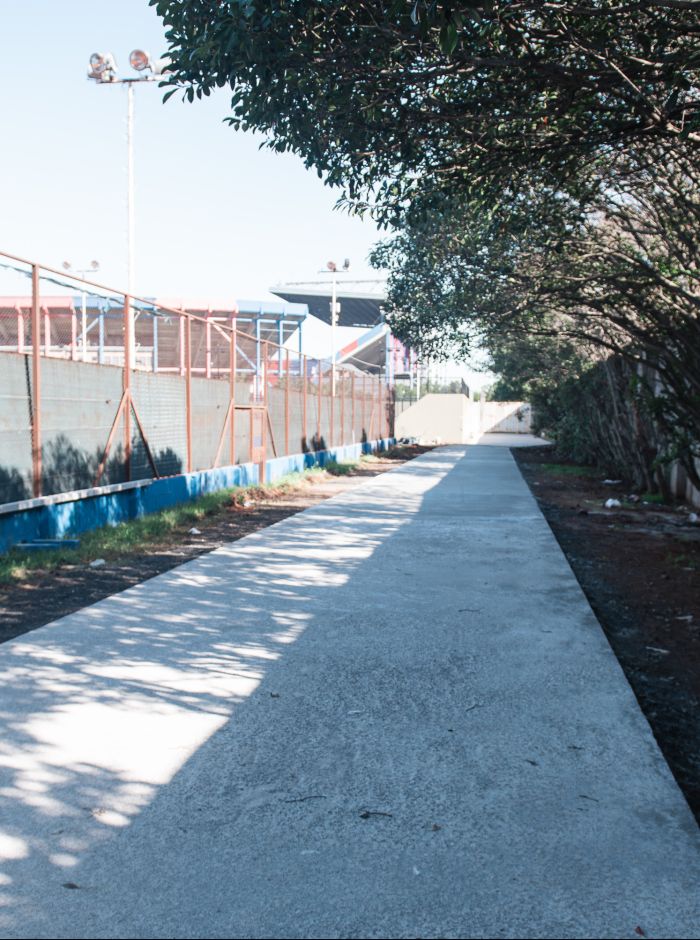 UN PLAN DE ACCIÓN CON EL SOCIO COMO EJE